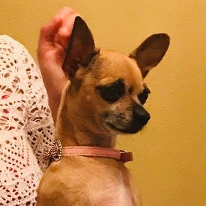 Meet your Posher, Melody!